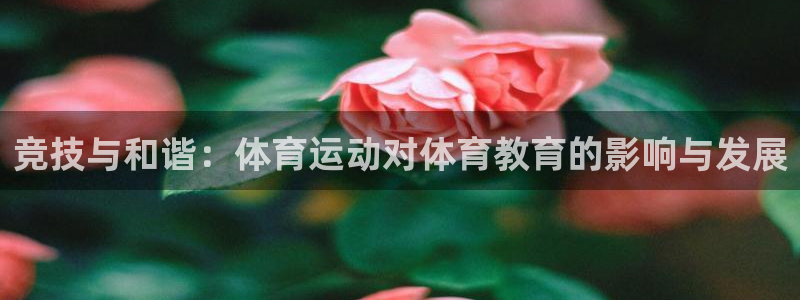 k1体育平台3915