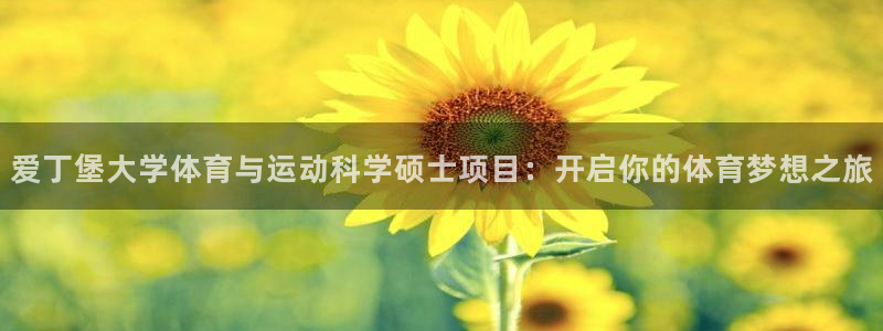 k1体育十年登录入口