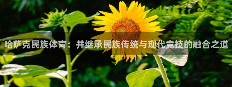 k1体育十年品牌值得信赖