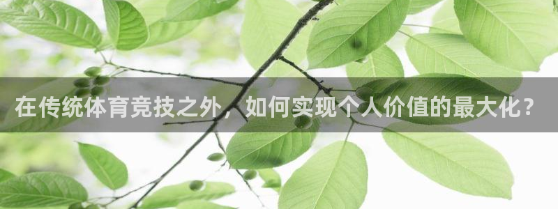 k1体育十年品牌官网
