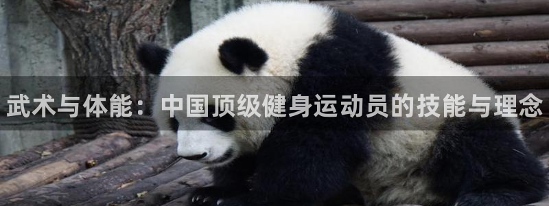 k1体育链接多少