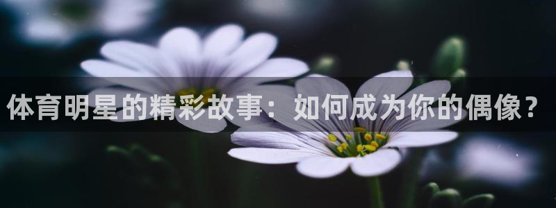 k1体育链接多少