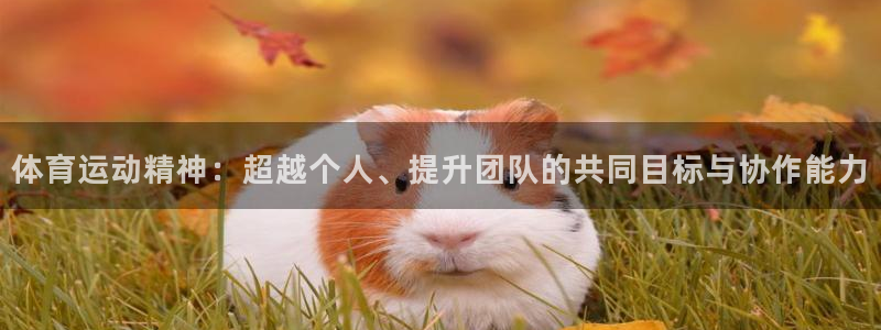 k1体育十年登录入口