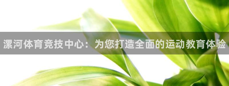 k1体育十年品牌官网