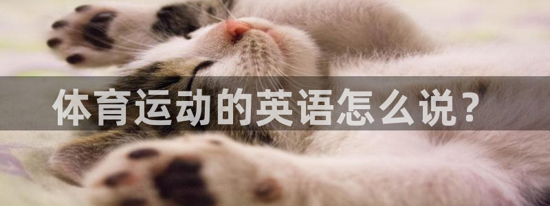 k1体育网址