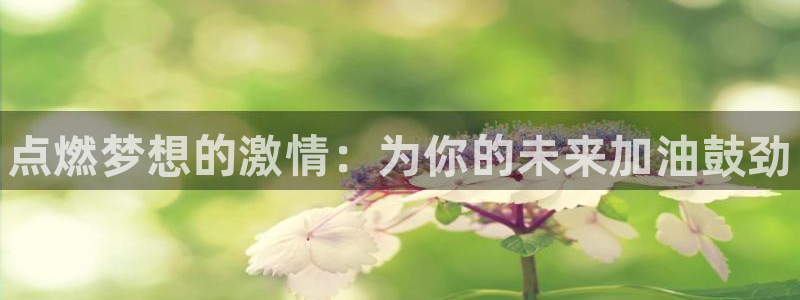 k1体育网站登录官网