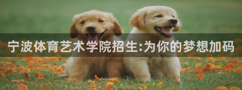 k1体育十年品牌值得信赖网址