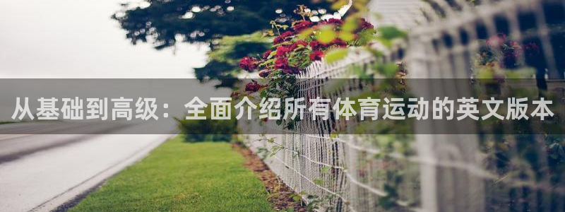 k1体育网站登录官网