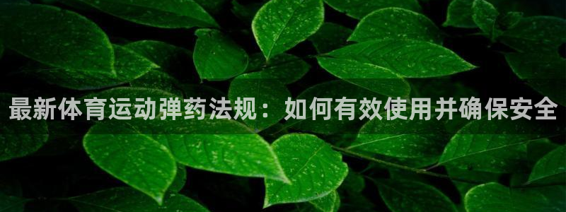 k1体育app官网登录入口