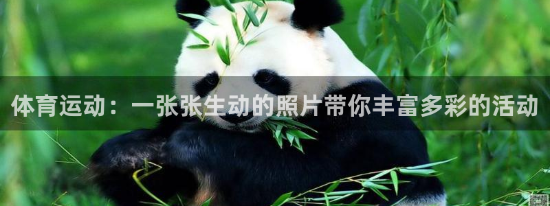 k1体育app下载