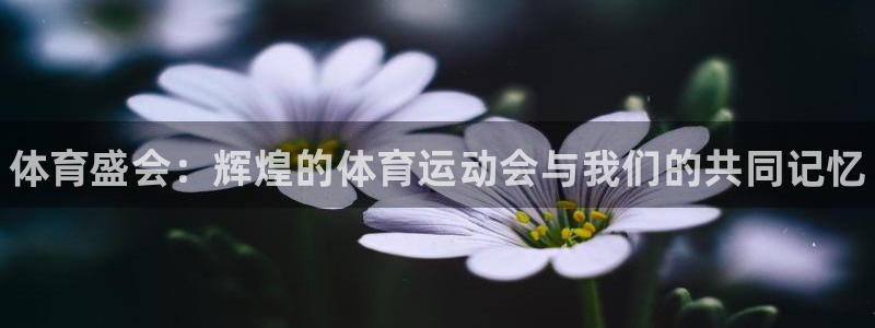 k1体育十年品牌