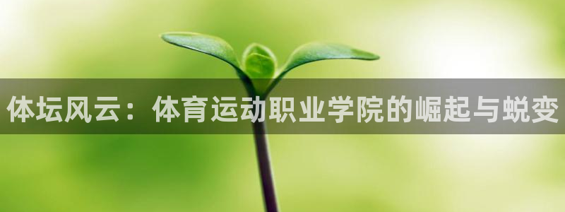 k1体育app下载链接