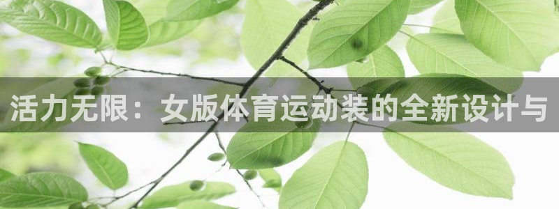 k1体育十年品牌值得信赖网址