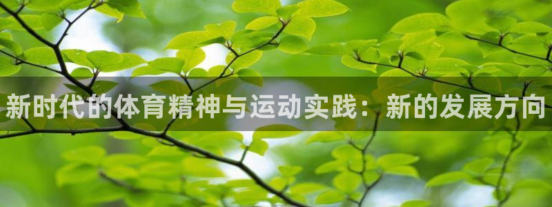 k1体育链接多少