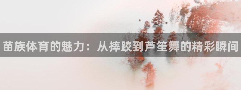 k1体育网站登录官网