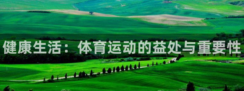 k1体育网址是多少