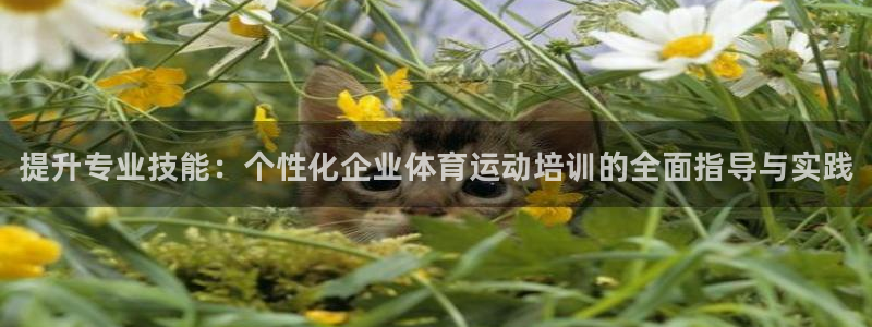 k1体育链接多少