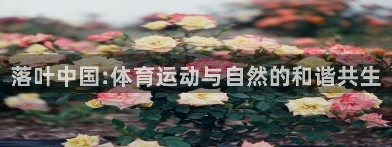 k1体育链接多少