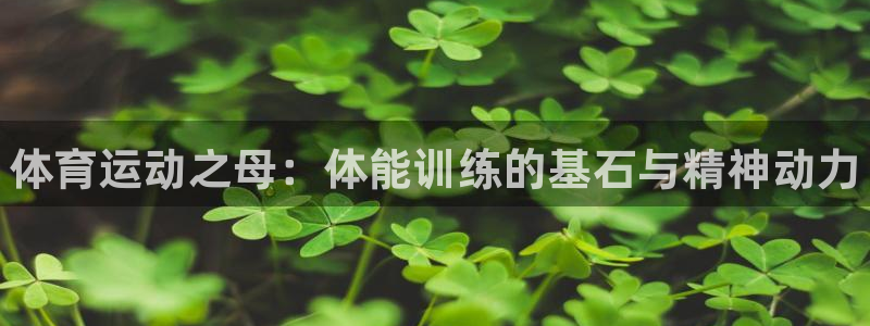 k1体育平台3915