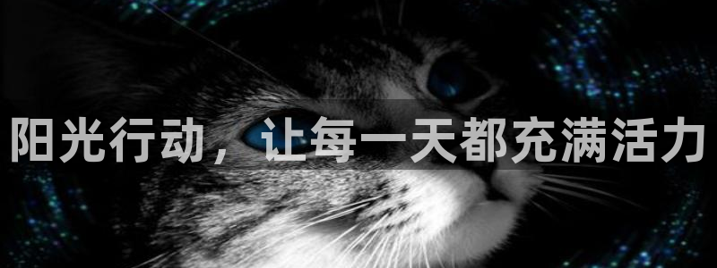 k1体育入口