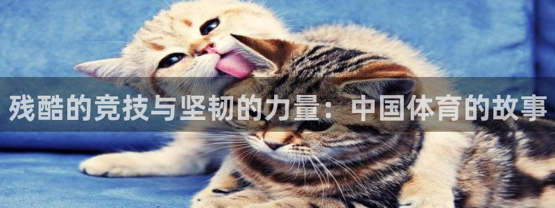 k1体育app