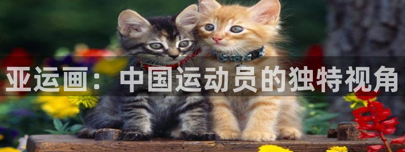 k1体育平台最新网站下载