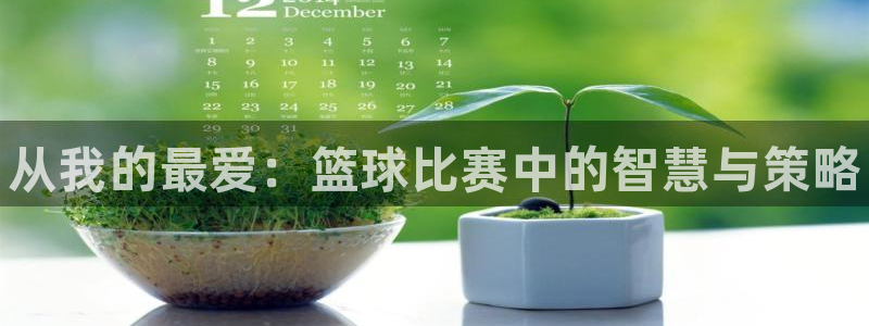 k1体育网址是多少