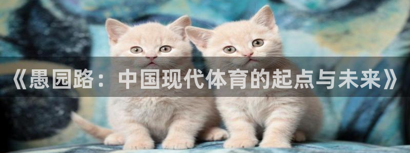 k1体育棋牌网址