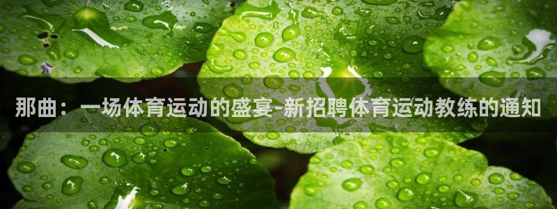 k1体育app官网登录入口